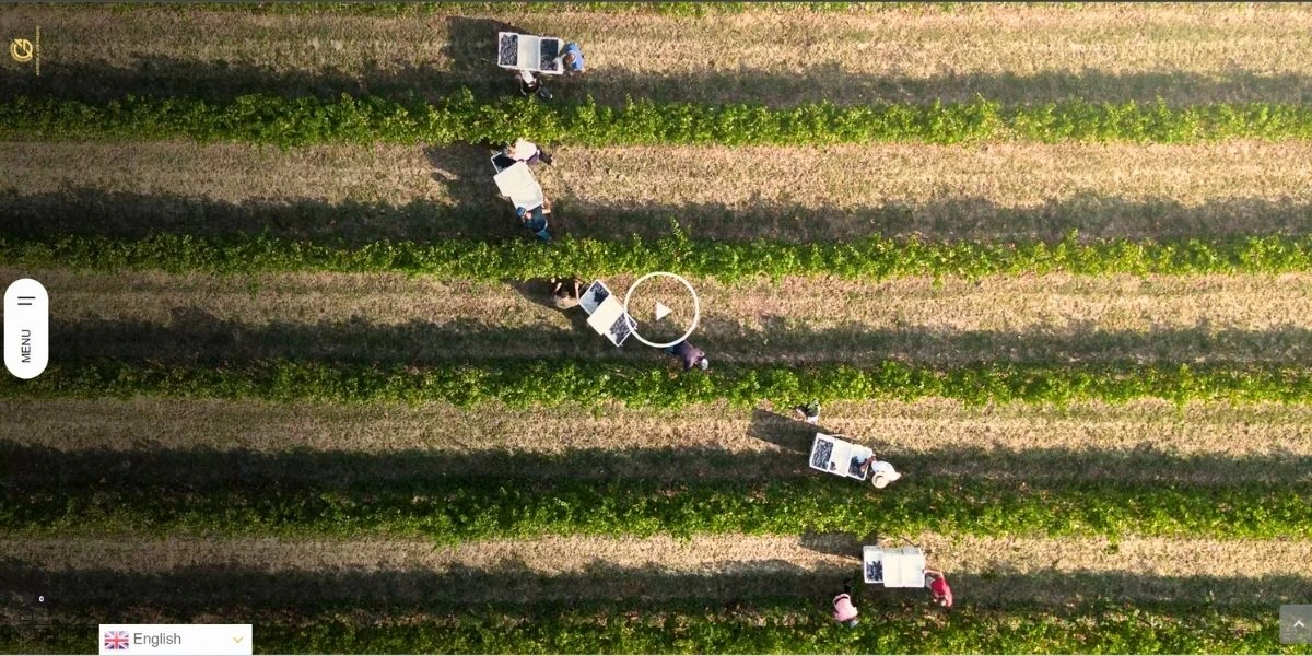 Sezioni di narrazione immersiva